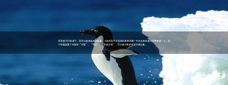杏悦主管