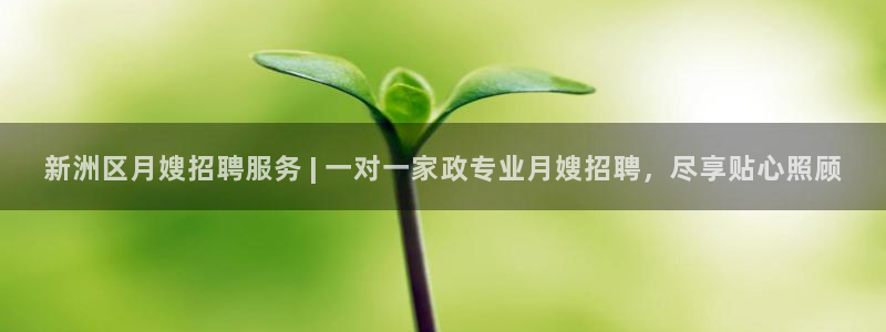 杏悦官方平台官网入口