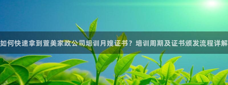 杏悦平台代理怎么做