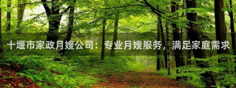 杏悦平台代理怎么赚钱的
