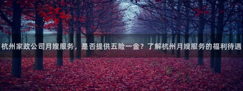 杏悦平台招商