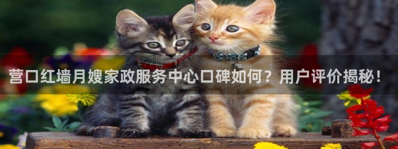 杏悦官方平台官网