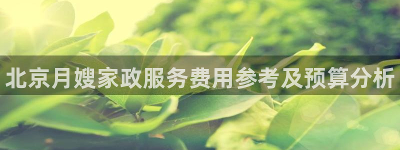 杏悦平台代理怎么赚钱的