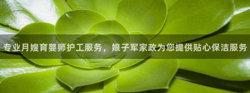 杏悦平台登陆