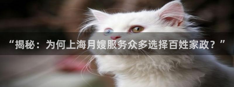 杏悦平台代理怎么做赚钱