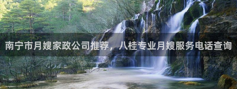 杏悦招商地址