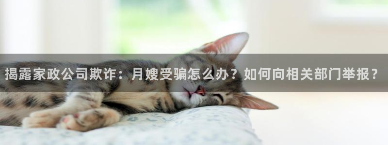 杏悦平台开户地址在哪里