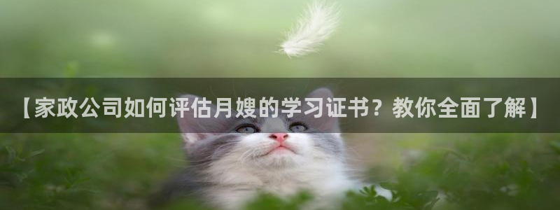 杏悦官方平台是正品吗
