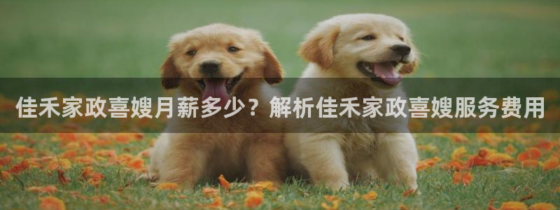 杏悦平台地址