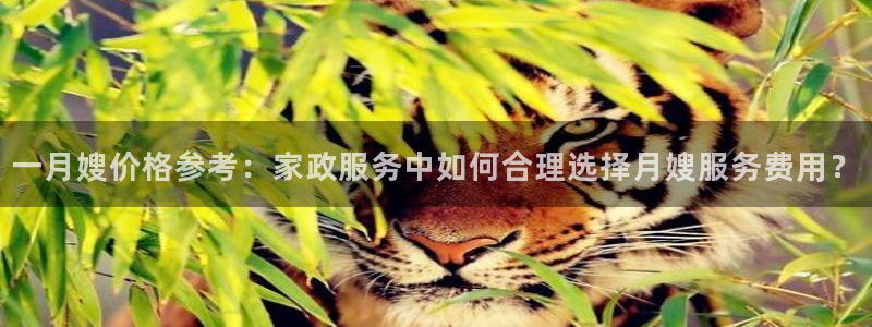杏悦总代理
