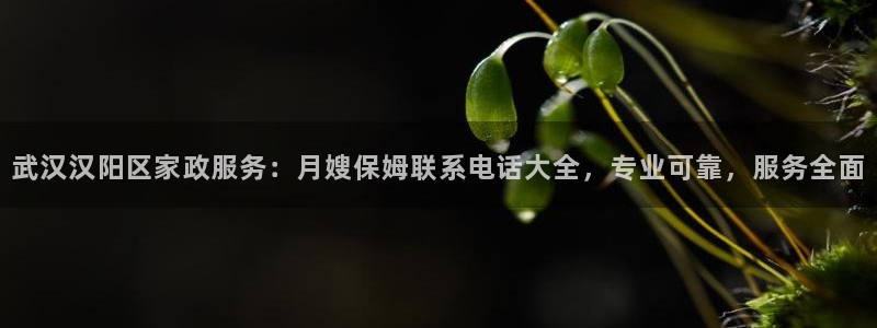 杏悦平台代理怎么赚钱