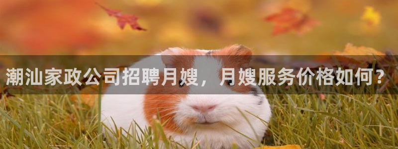 杏悦主管