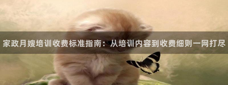 杏悦娱乐怎么玩