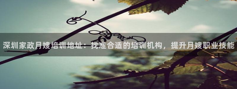 杏悦1招商地址