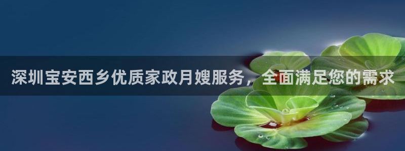 杏悦官方平台官网入口