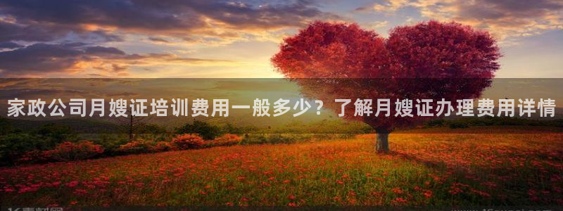 杏悦娱乐是什么