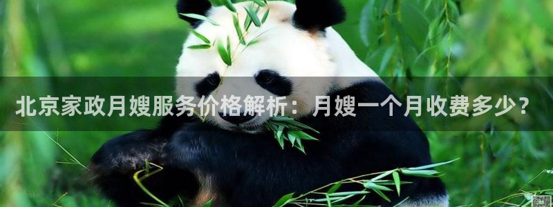 杏悦平台代理怎么样啊
