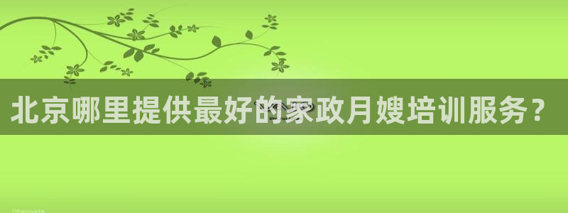 杏悦平台代理怎么做的