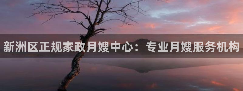 杏悦平台代理怎么赚钱