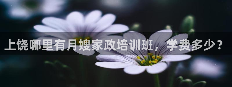 杏悦官方平台是正品吗