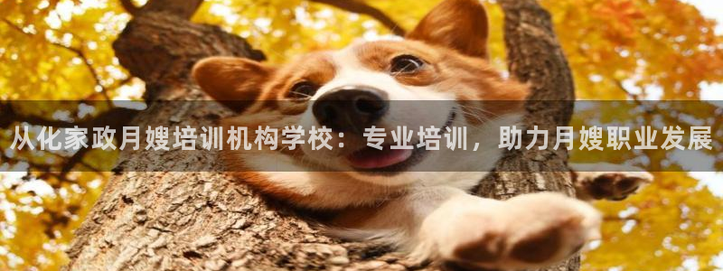 杏悦地址