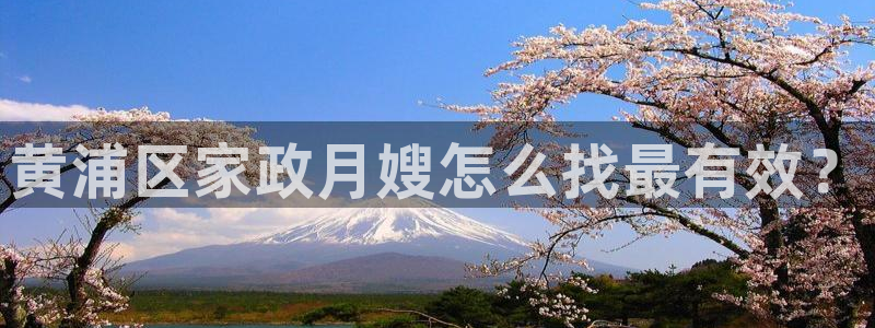 杏悦娱乐平台靠谱吗