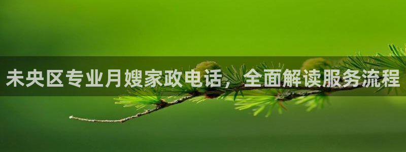 杏悦平台代理怎么赚钱