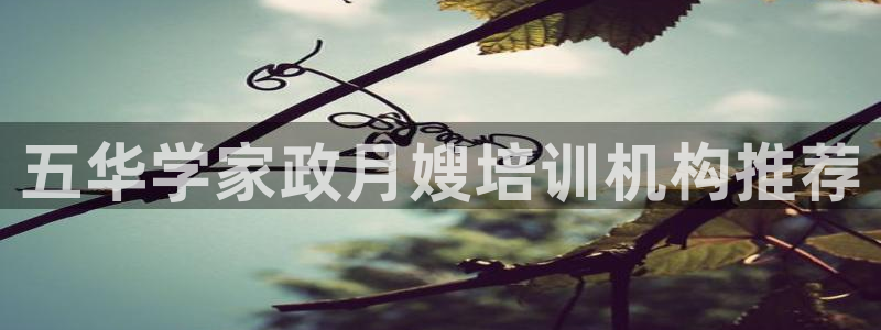杏悦主管
