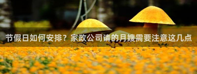 杏悦平台开户地址