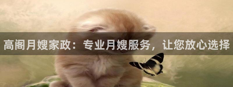 杏悦主管