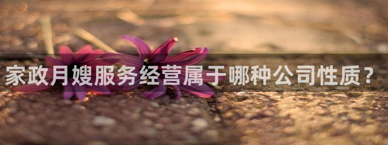杏悦官方平台