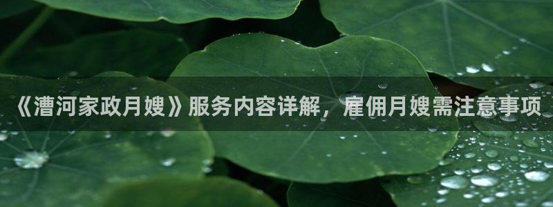 杏悦平台可靠吗可信吗安全吗