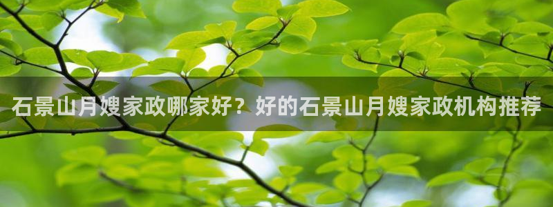 杏悦平台代理怎么样啊