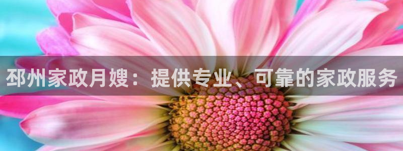 杏悦平台代理怎么样啊