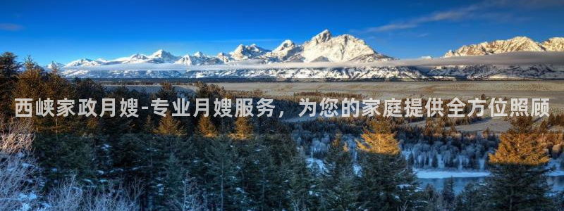 杏悦平台开户地址在哪里