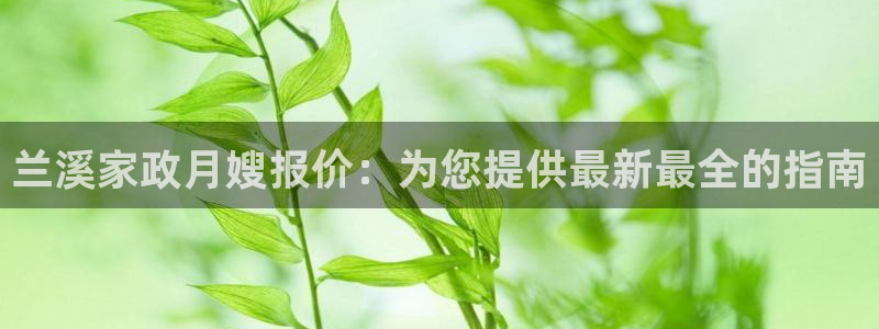 杏悦官方平台官网入口