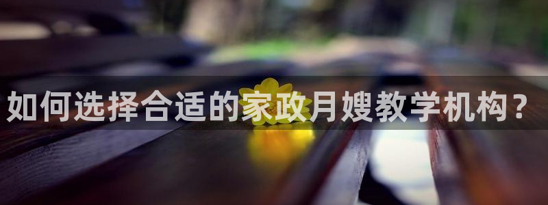 杏悦平台招商电话号码