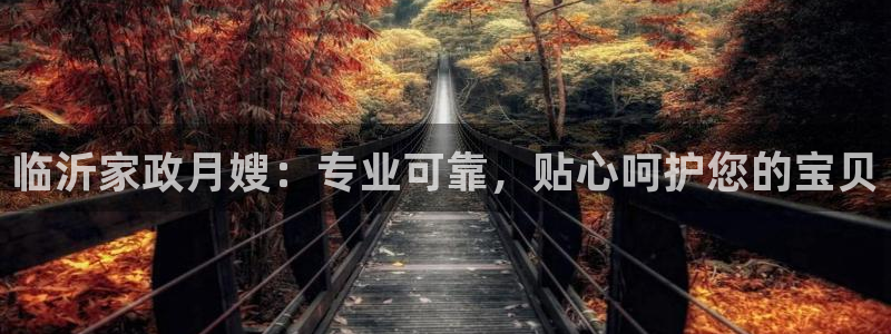 杏悦平台招商