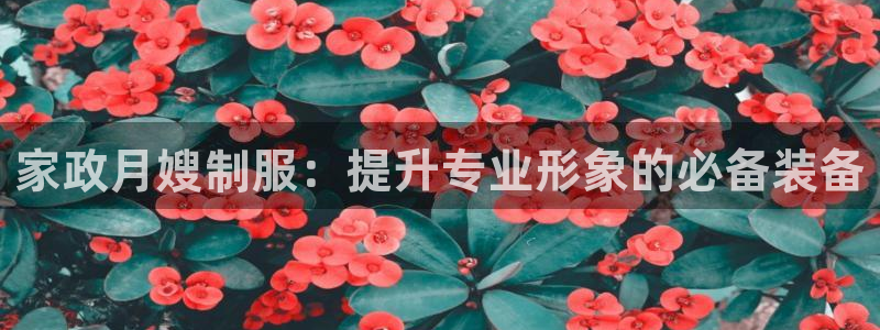 杏悦是什么平台