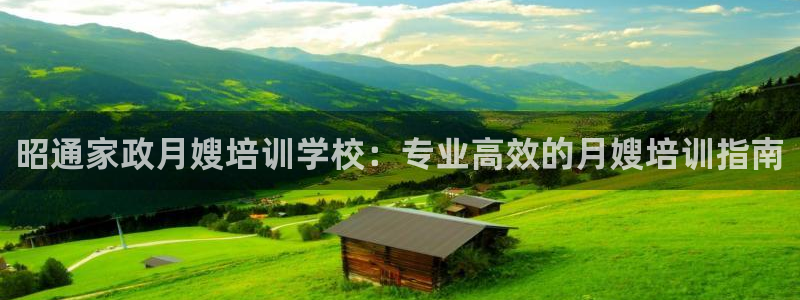 杏悦平台代理怎么赚钱