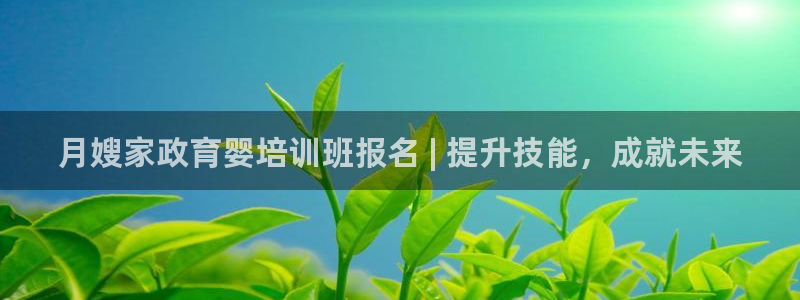 杏悦平台线路测速