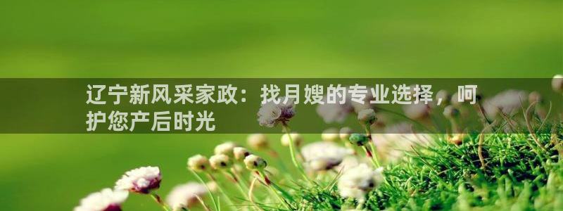 杏悦平台代理多少钱