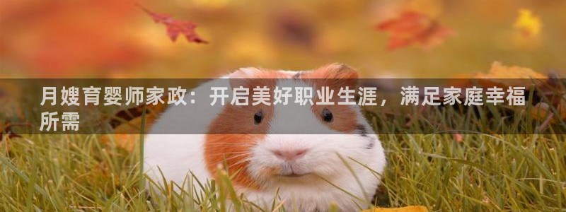 杏悦平台招商