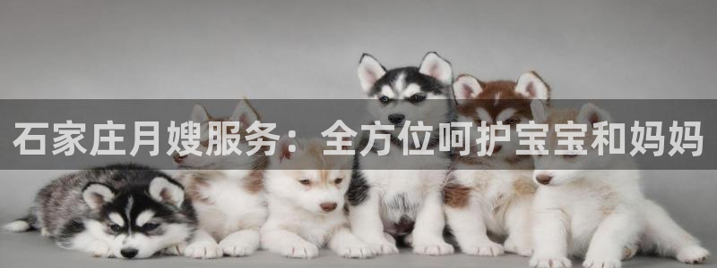 杏悦平台可靠吗可信吗安全吗
