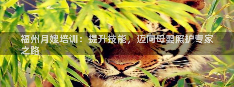 杏悦平台