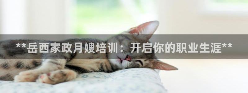 杏悦平台代理
