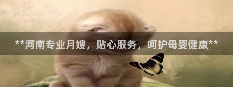 杏悦1招商地址