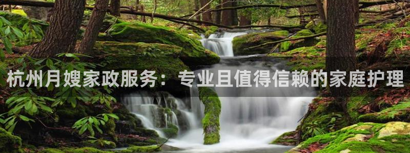 杏悦官方平台是正品吗