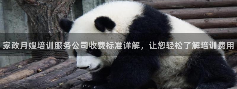 杏悦登入