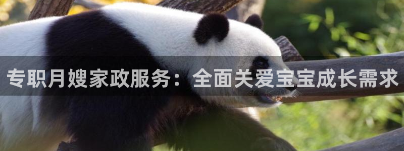 杏悦招商地址